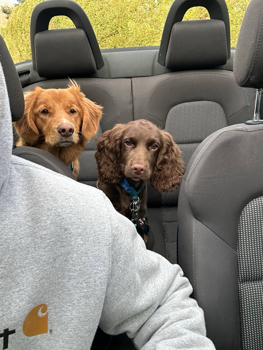 Lenny and a friend looking forward from the back seat of the car